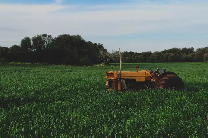 Tractor in a green paddock